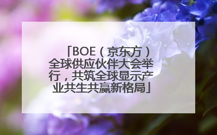 BOE（京东方）全球供应伙伴大会举行，共筑全球显示产业共生共赢新格局