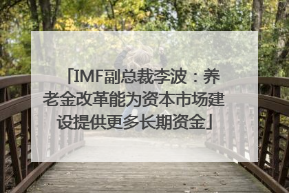 IMF副总裁李波：养老金改革能为资本市场建设提供更多长期资金