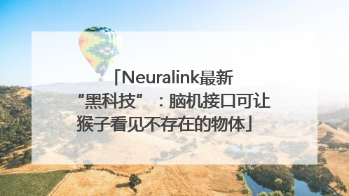 Neuralink最新“黑科技”：脑机接口可让猴子看见不存在的物体